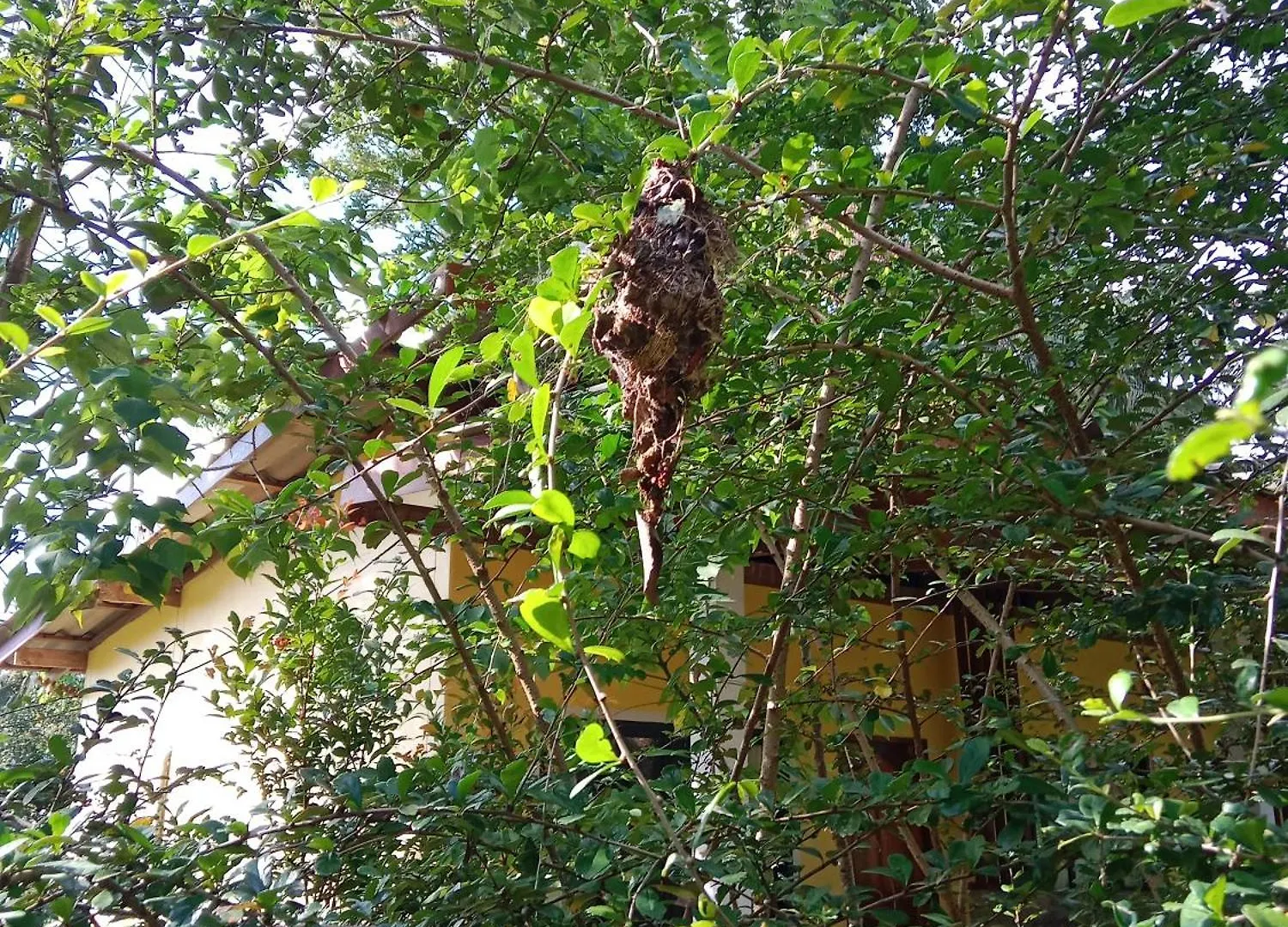 ** イン ホテル Som Palmgarden Ko Lanta タイ王国