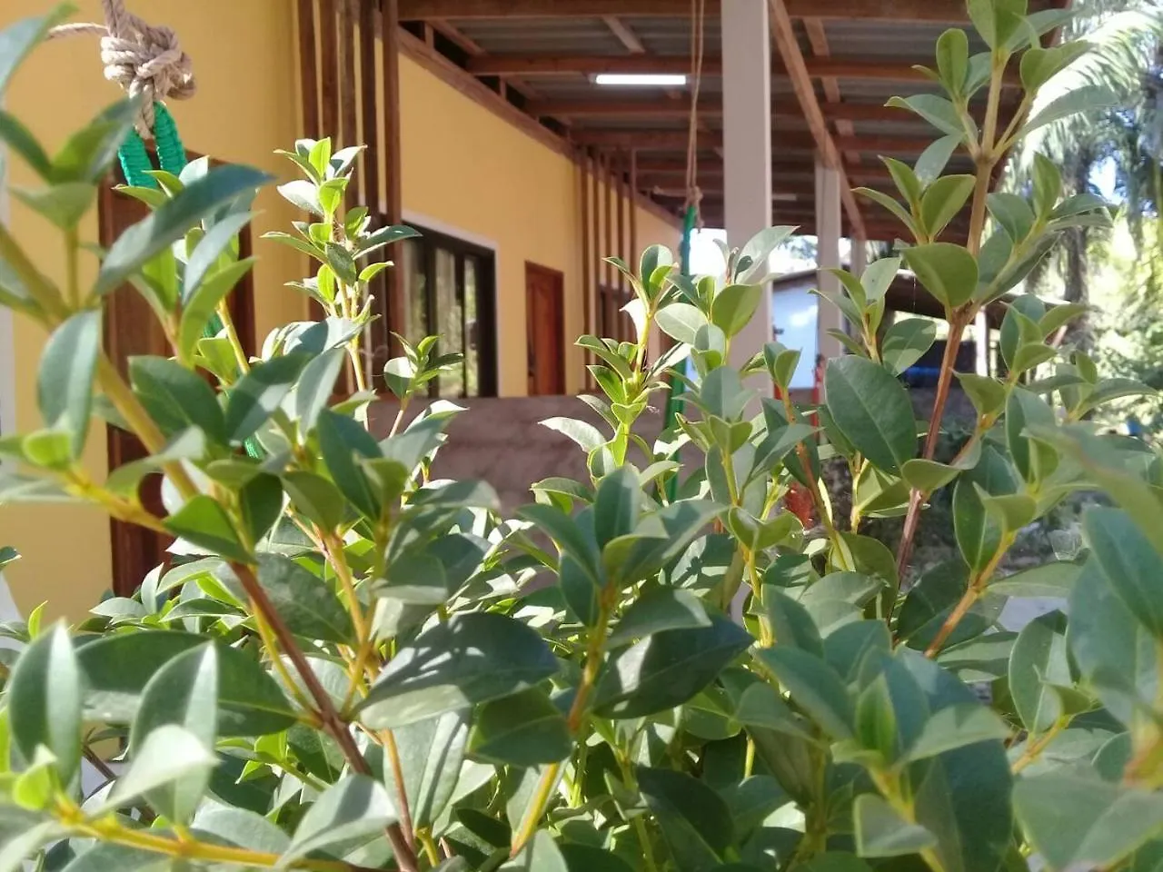 ホテル Som Palmgarden Ko Lanta イン